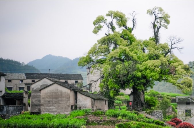 发展壮大县域经济培训专题